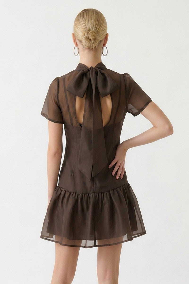 Coco Brown Mini Dress