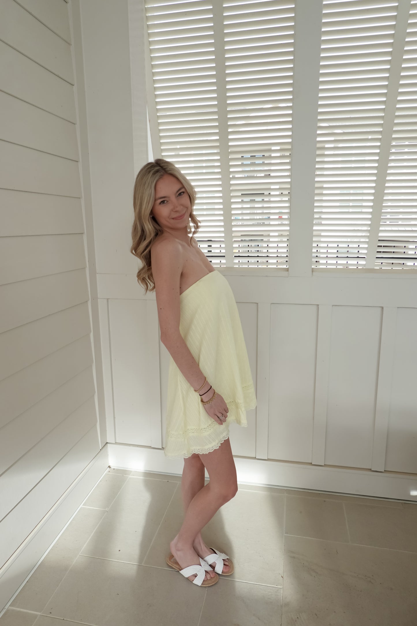 Emmy Embroidered Swing Mini Dress