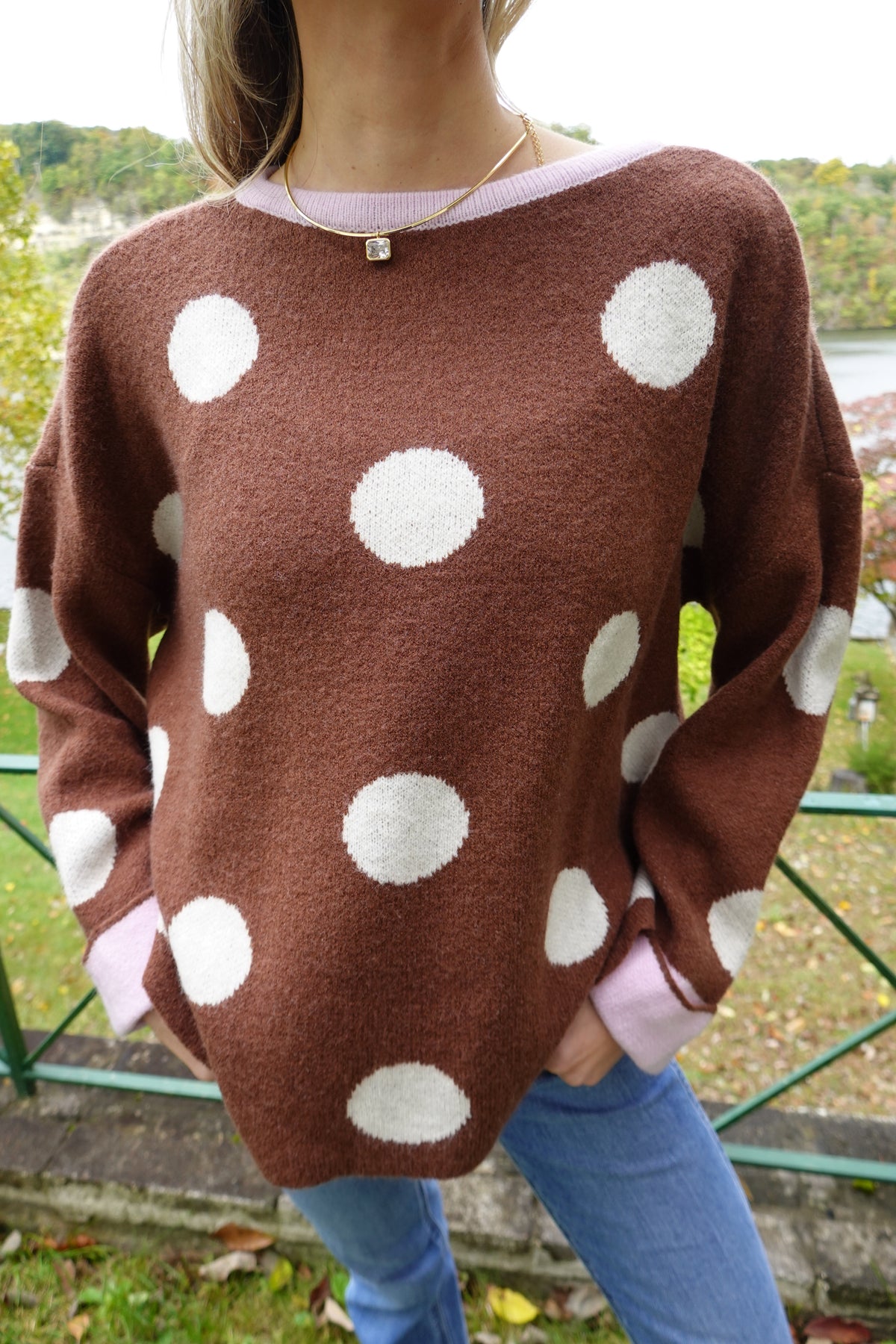 Ivy Mocha Polka Dot Sweater