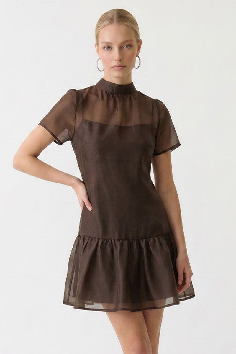 Coco Brown Mini Dress
