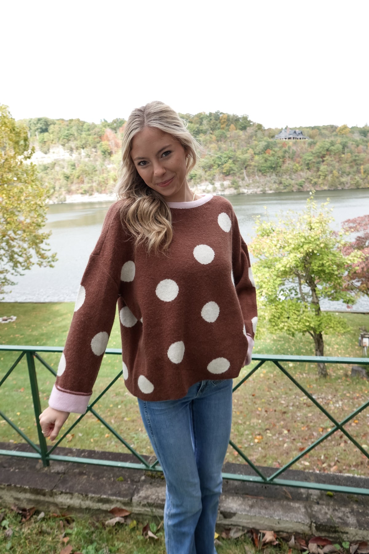 Ivy Mocha Polka Dot Sweater