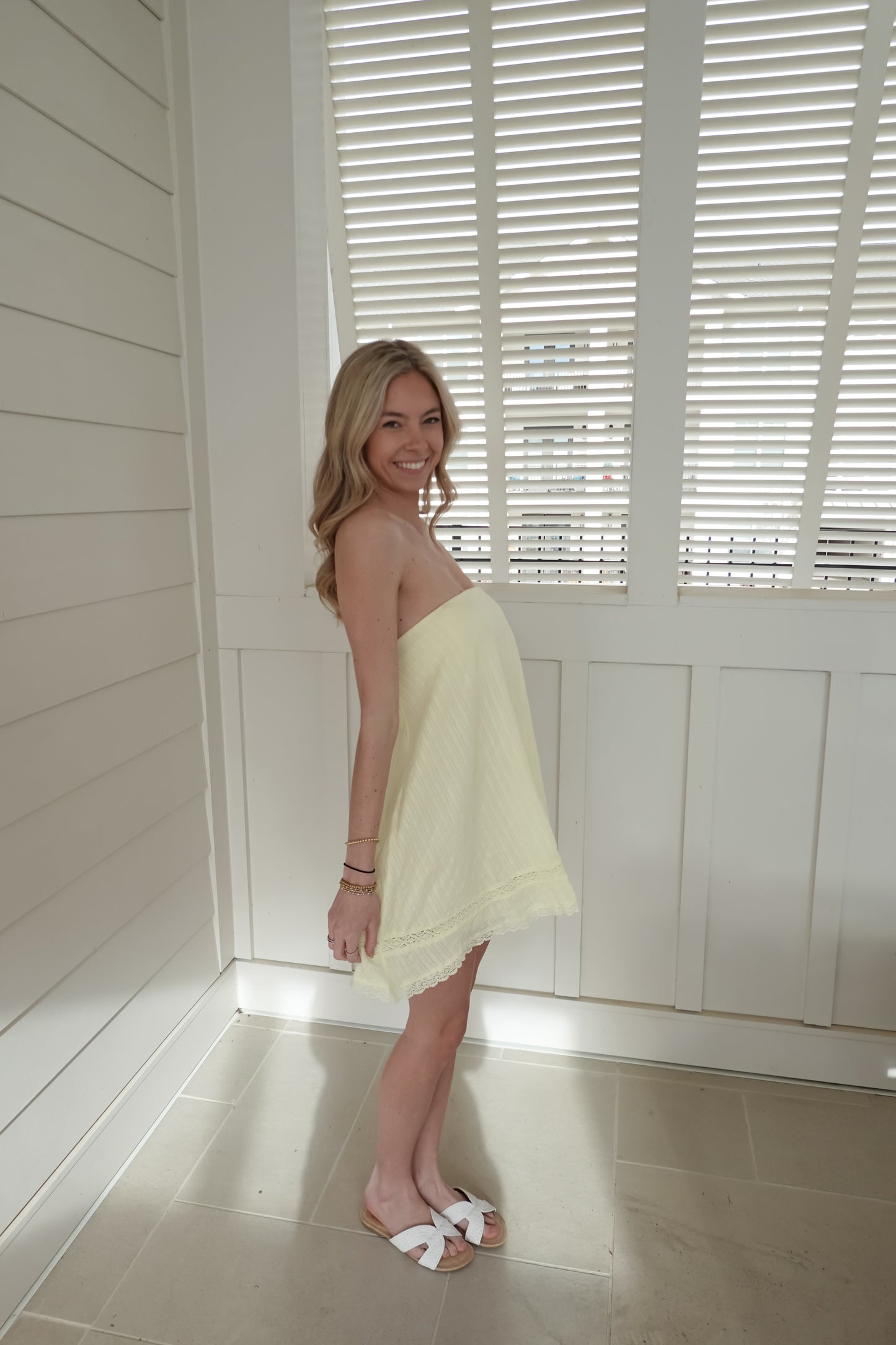 Emmy Embroidered Swing Mini Dress