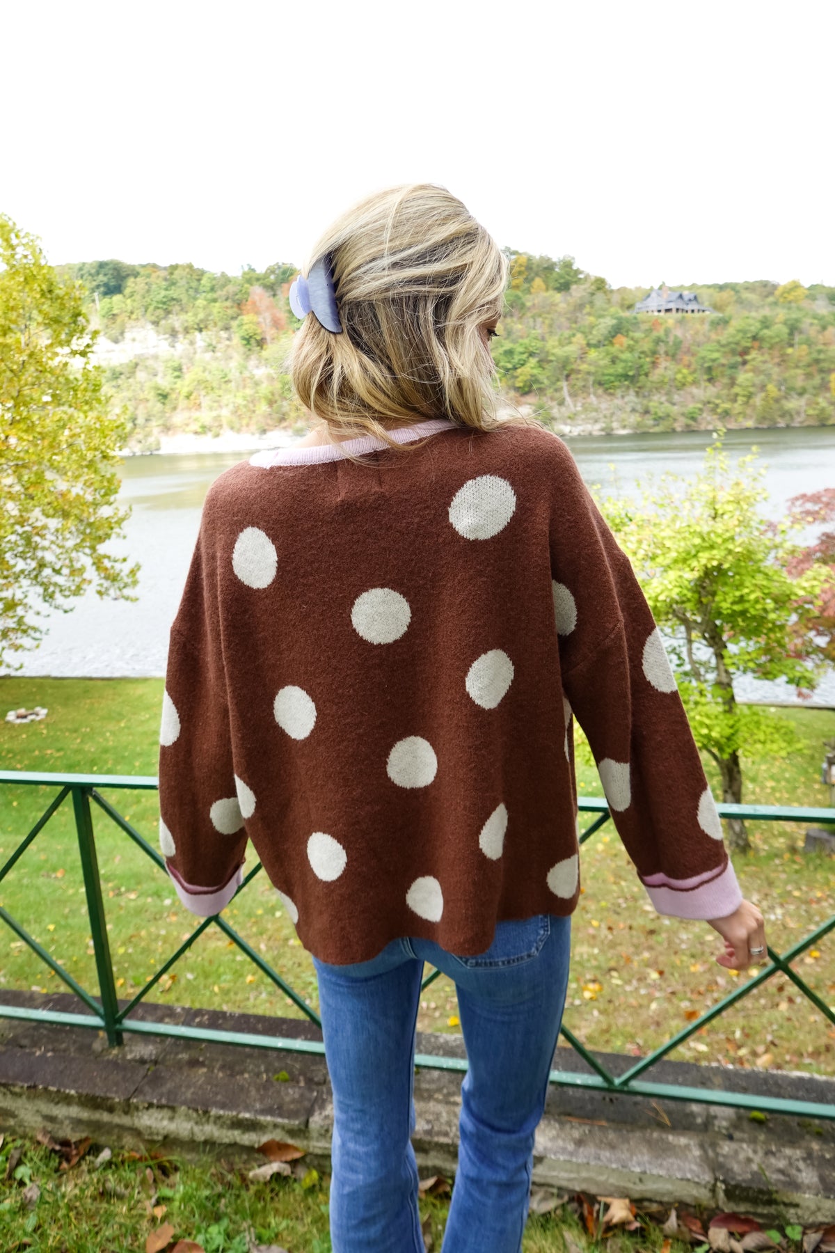 Ivy Mocha Polka Dot Sweater