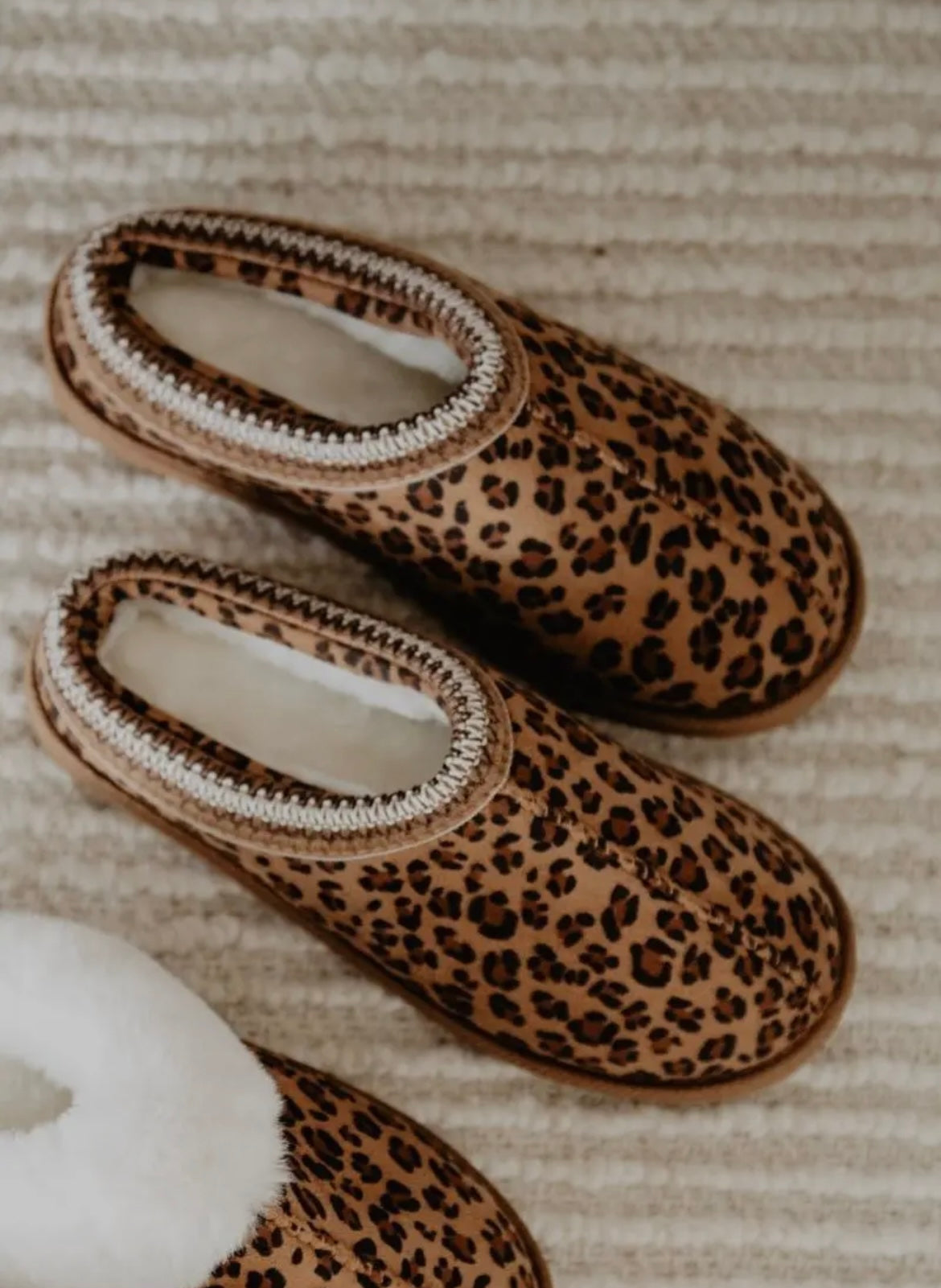 Leopard Slippers