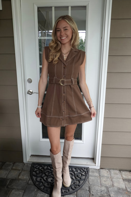 Harlow Brown Mini Dress