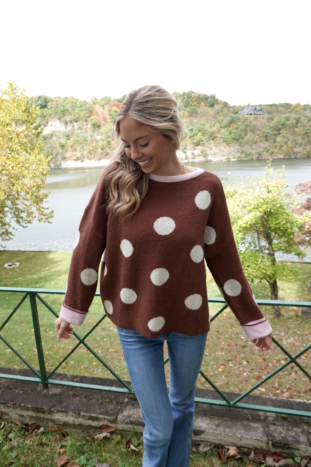 Ivy Mocha Polka Dot Sweater